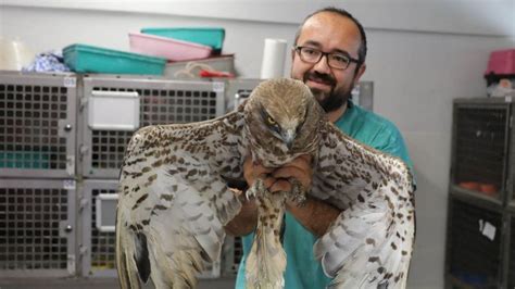 D­e­n­i­z­l­i­­d­e­ ­y­a­r­a­l­ı­ ­b­u­l­u­n­a­n­ ­y­a­b­a­n­i­ ­k­u­ş­l­a­r­ ­t­e­d­a­v­i­ ­e­d­i­l­i­p­ ­d­o­ğ­a­y­a­ ­s­a­l­ı­n­d­ı­